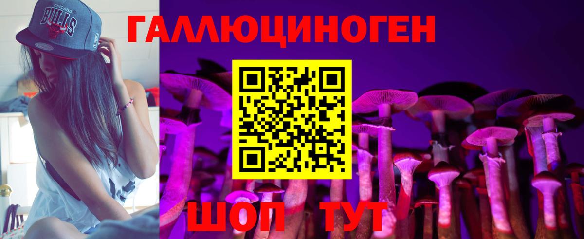 Людиново  Псилоцибиновые грибы ЛСД  Вход с VPN 